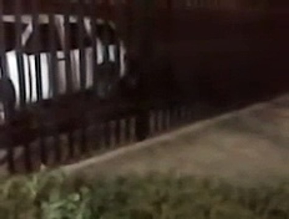 Asi mataron a Anastasio