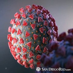 Border News 4ta semana de octubre