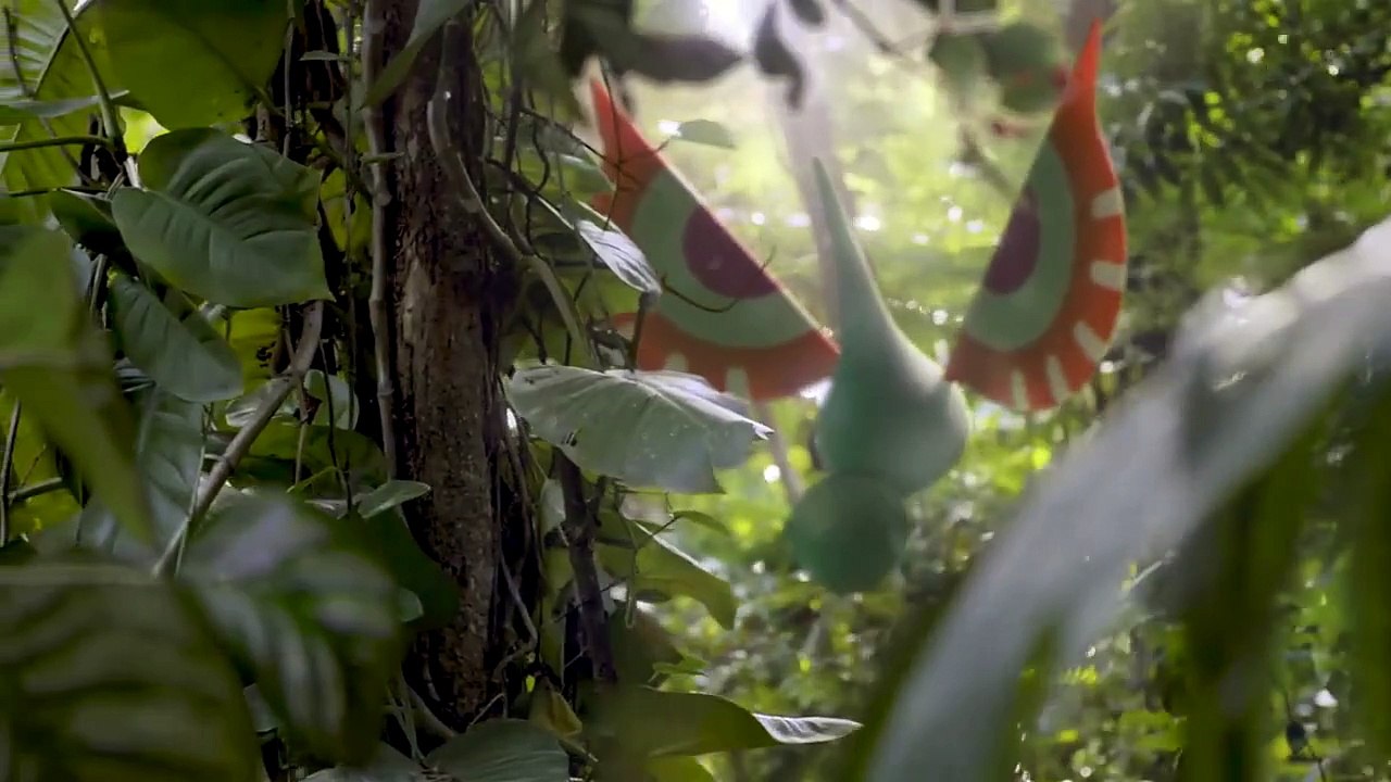VIDEO: Pokémon Go lanza curioso documental sobre las criaturas en su juego