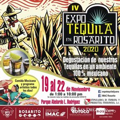 Border News: 1era semana de noviembre 2020