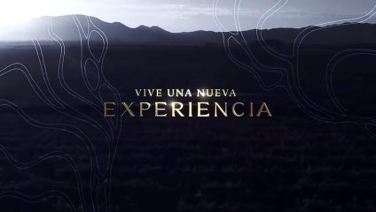 Apertura de "Bakuss" Oyster Bar