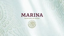 Así retira Marina sargazo en playas de Quintana Roo
