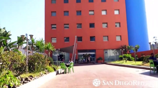 Dr. Gerardo Zúñiga habla sobre alergias más comunes