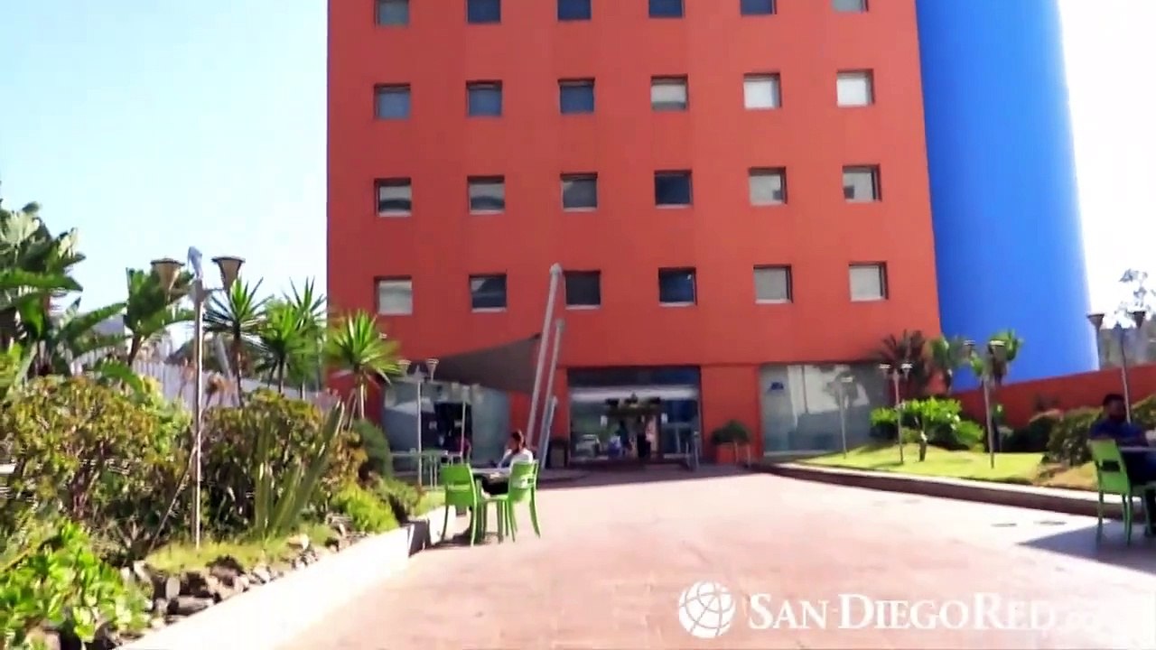 Dr. Gerardo Zúñiga habla sobre alergias más comunes