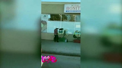 Hombre sube a su mascota a juego mecánico en Tiktok