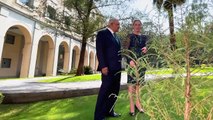 Andrés Manuel López Obrador envía mensaje de Año Nuevo a mexicanos