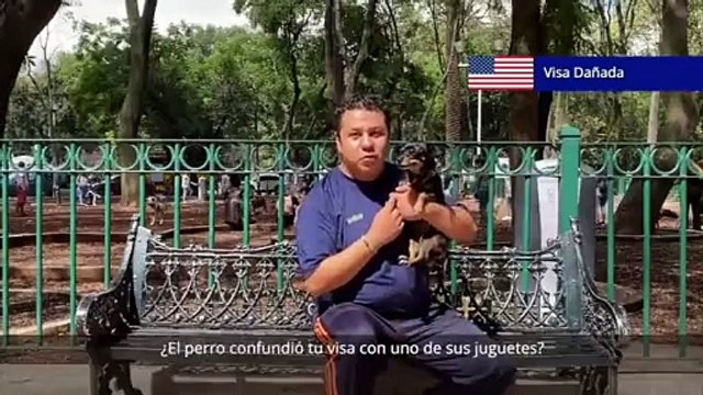 Si tu visa se encuentra dañada, deberás solicitar una nueva visa