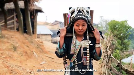 Alianza en favor de la conservación de la vida silvestre 2023