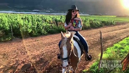 Vive toda una experiencia aventurera en el Parque Ecoturístico Pai Pai Ensenada