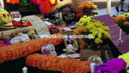 Festival de Día de Muertos en CECUT
