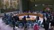 EEUU veta en el Consejo de Seguridad petición palestina de adhesión a la ONU