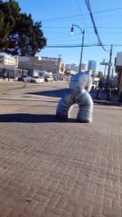 Tijuanense sorprende con inusual presentación en semáforo