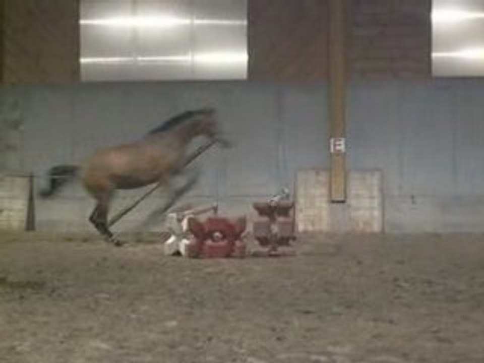 gros oxer large