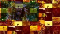 Las Aventuras de Tintín - Trailer - Español Latino