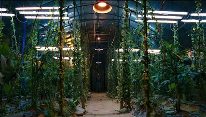 I Saw The Devil Trailer