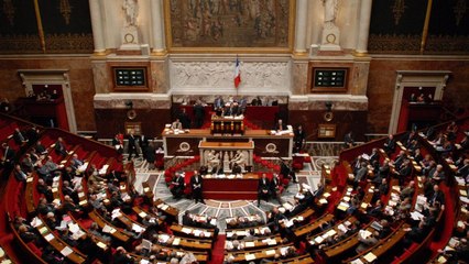 Séance à l'Assemblée nationale vidéo bande annonce