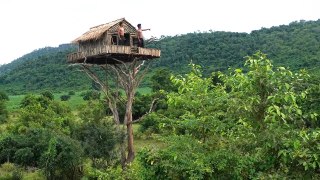 How To Build House On The Tree 12m And Swimming Pool | Part I