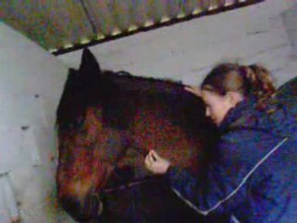 Dériveur II un adieu pour un cheval formidable