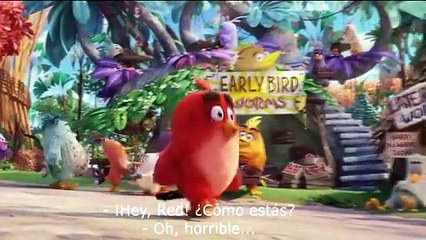 Angry Birds- Trailer subtitulado