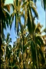 Las Aventuras de Robinson Crusoe