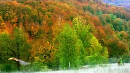 La Casa de las Dagas Voladoras Trailer