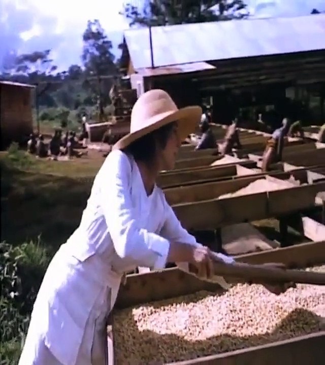 África Mía Trailer