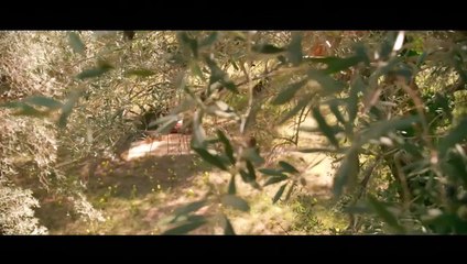 El Joven Mesías -Trailer Oficial subtitulado en español