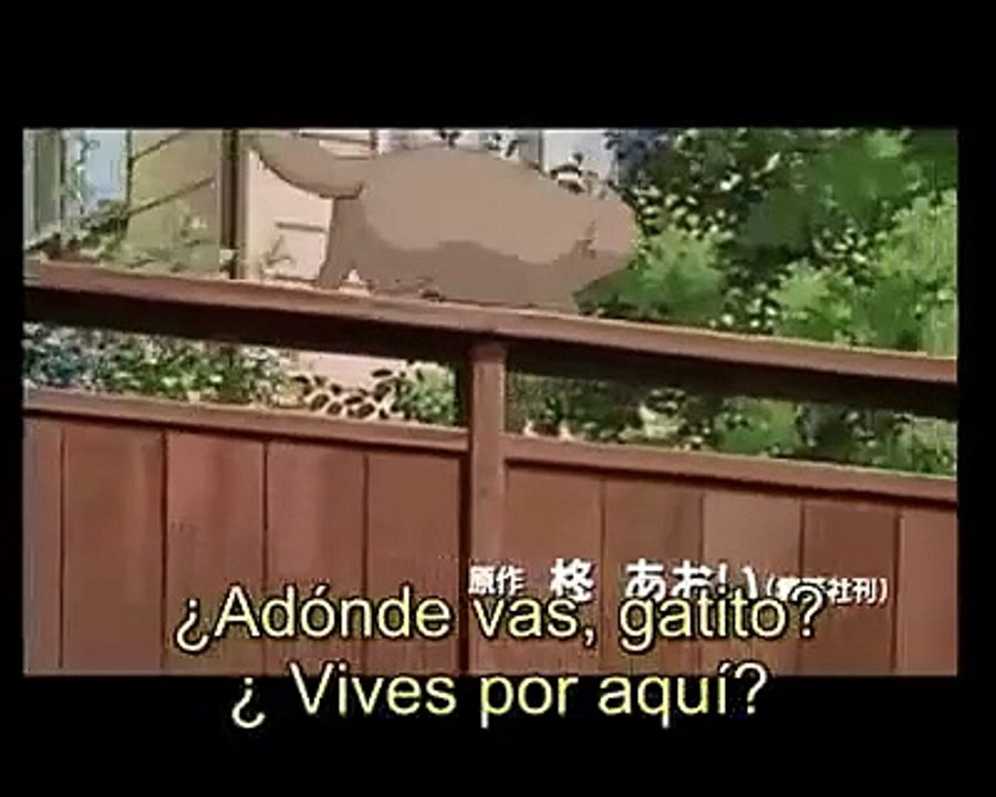 Susurros del Corazón