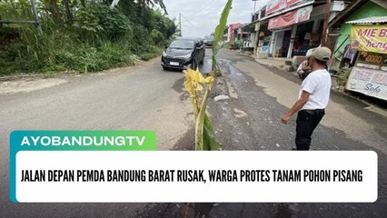 Jalan Depan Pemda Bandung Barat Rusak, Warga Protes Tanam Pohon Pisang