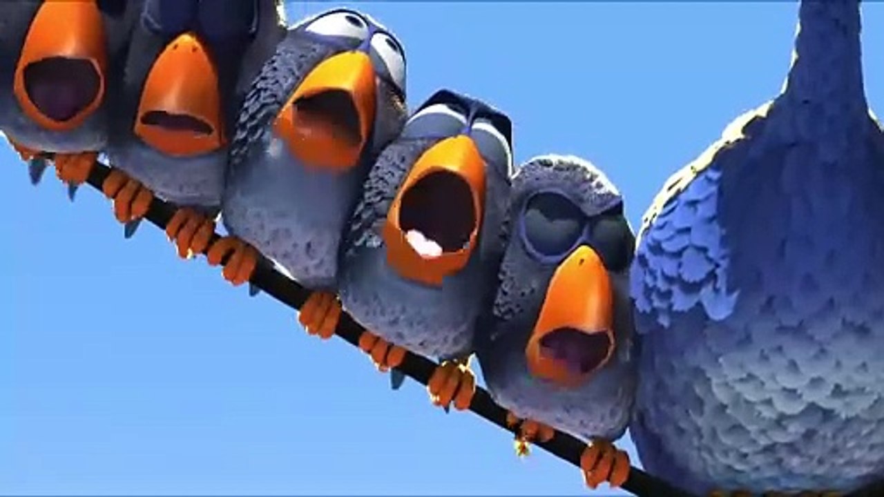 For the Birds