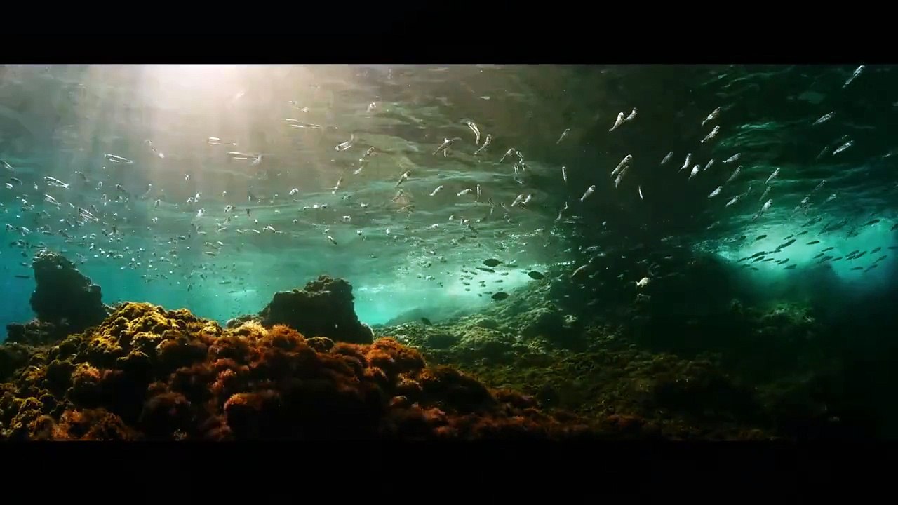 Evolution Trailer