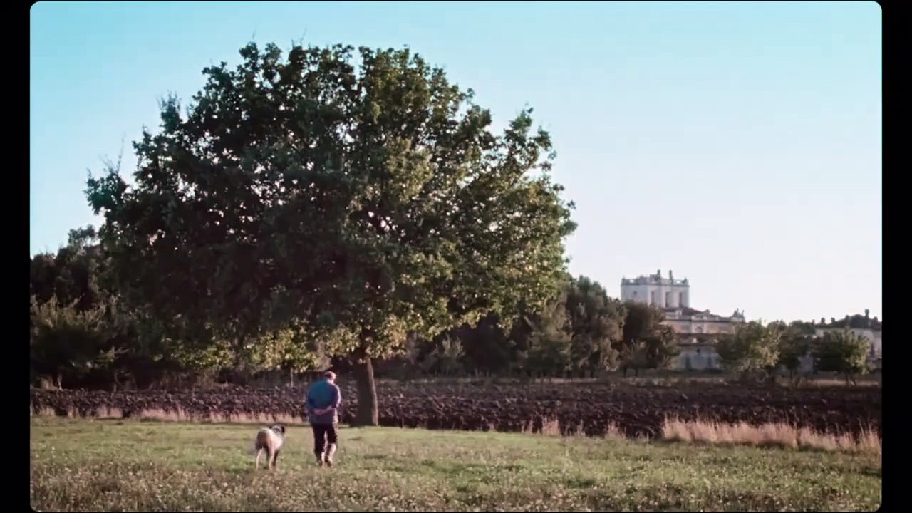 Lost and Beautiful - Trailer