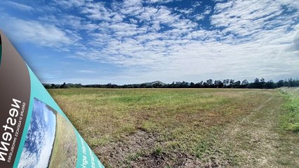 Terrain Exceptionnel à Vendre à Tamoa – 75 000 m² en Bord de Rivière