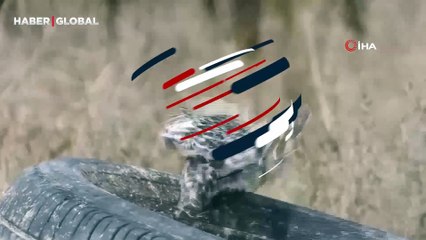 Yer Hatay: Balığı avladı ama yutmaya zorlandı, alaca yalıçapkınını yakından görüntülendi!