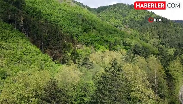 Kazdağları bahar ile birlikte yeşilin binbir tonuna büründü