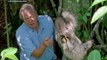 Planet Earth II - How the BBC makes Planet Earth look like a Hollywood movie