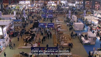 Saint Amour: Una Cata de Vida - Trailer Subtitulado al Español