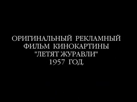 The Cranes are Flying - Tráiler