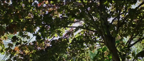 Below Her Mouth - Trailer Oficial #1