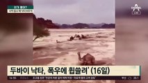 ‘사막 홍수’ 날벼락…낙타들도 허우적