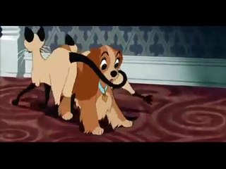Clip musical de los gatos siameses Si y Am