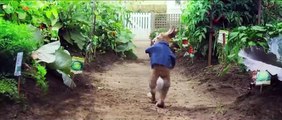 Peter Rabbit - Tráiler Oficial