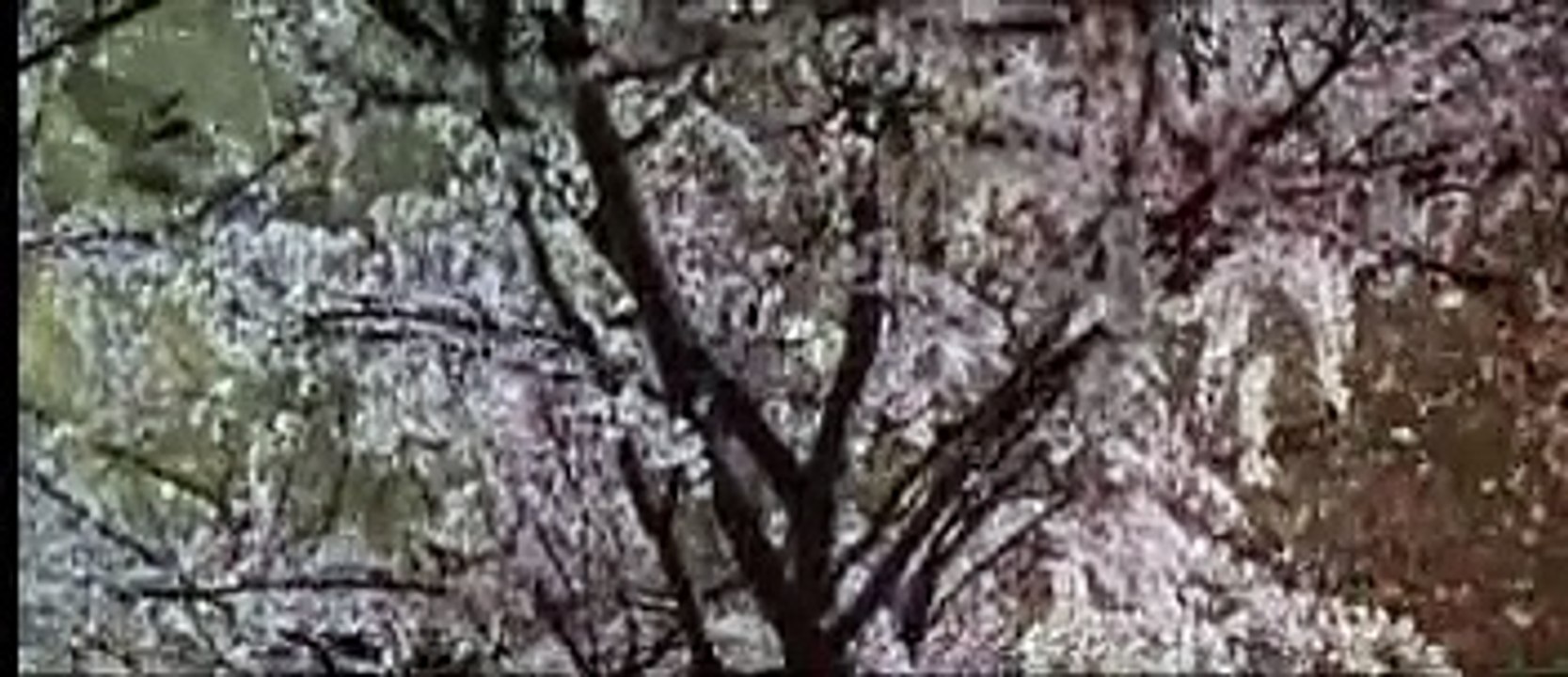 Escena perdida de Legend de Ridley Scott