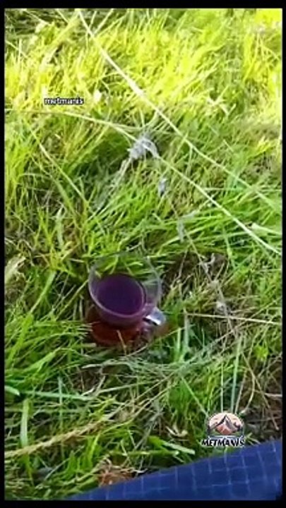 Van Gevaş Metmanis Doğası çok Güzel