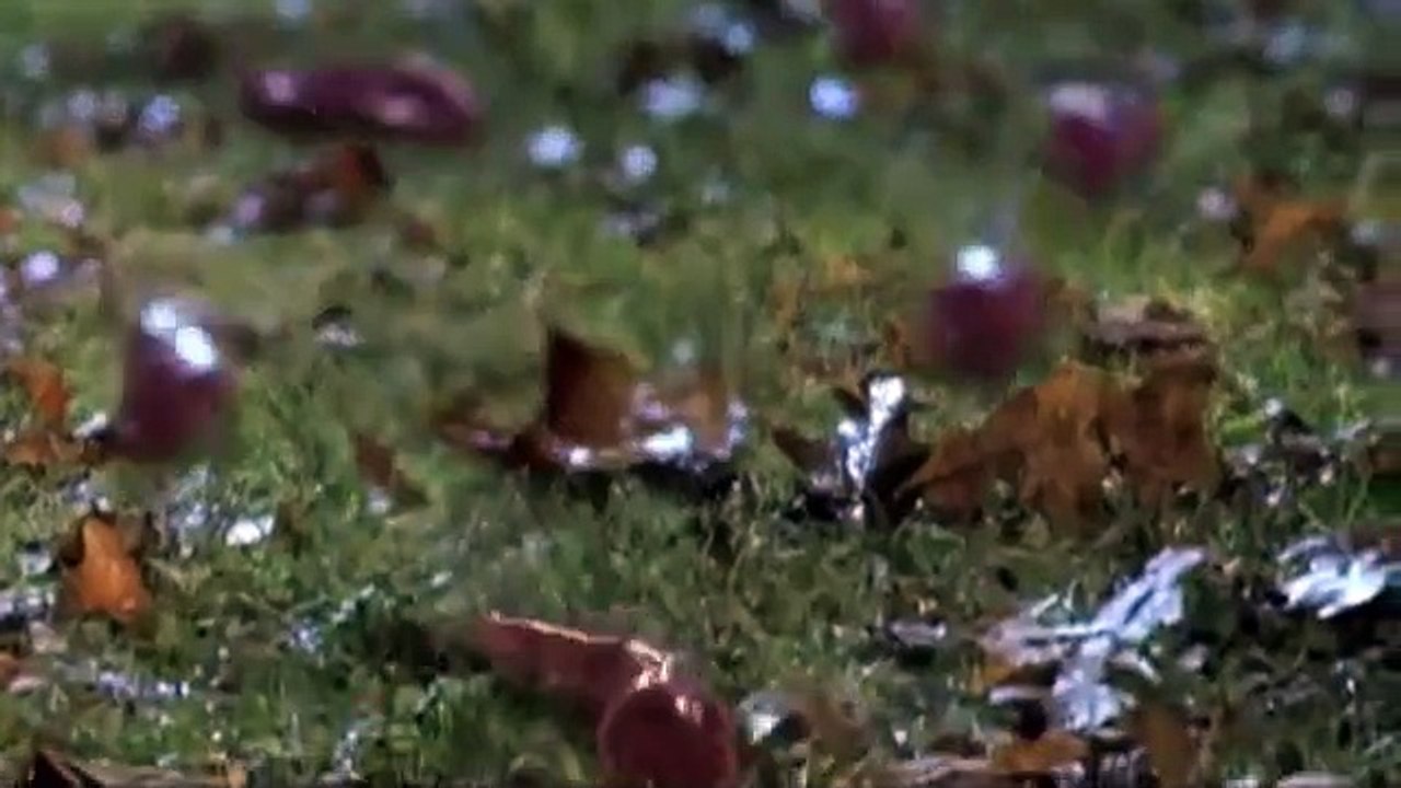 Slither - Tráiler