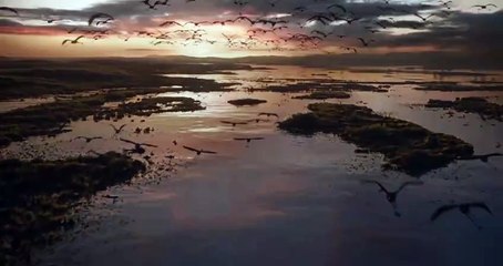 El Rey León, de Disney – Tráiler oficial #1 (Subtitulado)