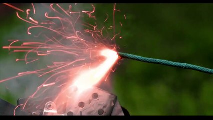 All Summers End - Trailer Oficial