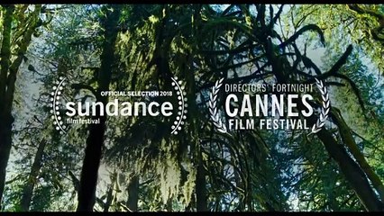 Leave No Trace - Tráiler