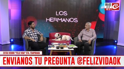 Mi hermano me abandonó en una situación difícil: ¿cómo continúo la relación?