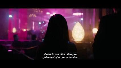 Hustlers tráiler oficial